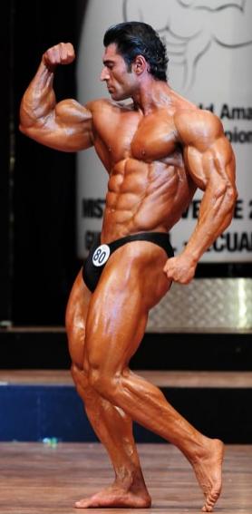 Курс Бодибилдинг Классик — Набор мышечной массы/Пампинг на 1 месяц купить в Новосибирске - Масса Тела